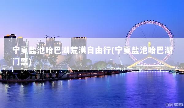 宁夏盐池哈巴湖荒漠自由行(宁夏盐池哈巴湖门票)