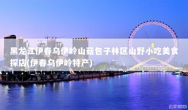 黑龙江伊春乌伊岭山菇包子林区山野小吃美食探店(伊春乌伊岭特产)