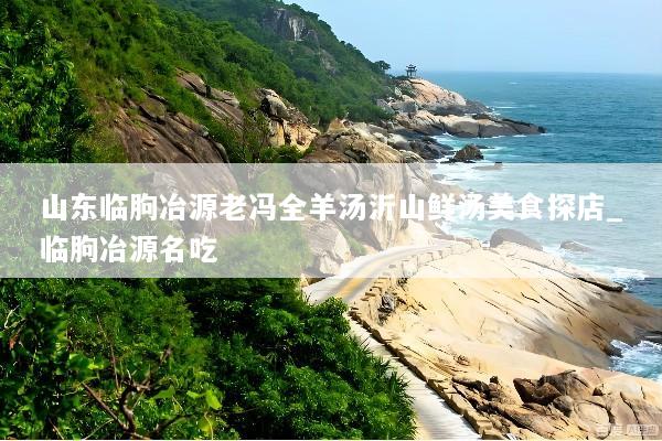 山东临朐冶源老冯全羊汤沂山鲜汤美食探店_临朐冶源名吃
