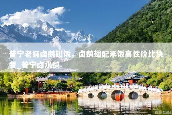 普宁老铺卤鹅翅饭，卤鹅翅配米饭高性价比快餐_普宁卤水鹅