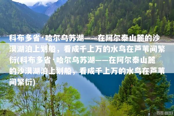 文章配图
