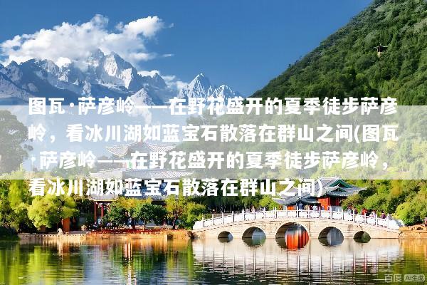 文章配图