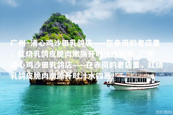 广州·清心鸡沙田乳鸽店——在赤岗的老店里，红烧乳鸽皮脆肉嫩撕开时汁水四溅_广州·清心鸡沙田乳鸽店——在赤岗的老店里，红烧乳鸽皮脆肉嫩撕开时汁水四溅