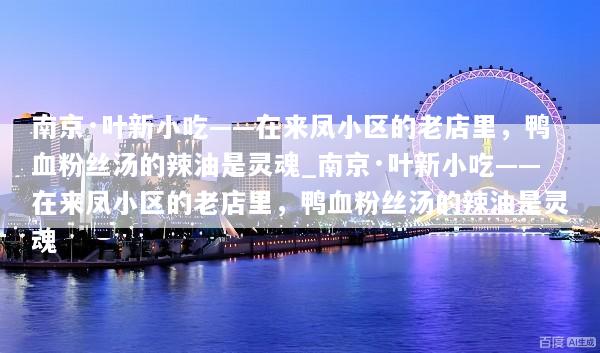 南京·叶新小吃——在来凤小区的老店里，鸭血粉丝汤的辣油是灵魂_南京·叶新小吃——在来凤小区的老店里，鸭血粉丝汤的辣油是灵魂