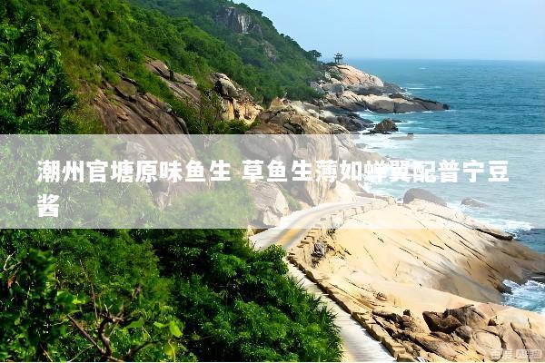 潮州官塘原味鱼生 草鱼生薄如蝉翼配普宁豆酱