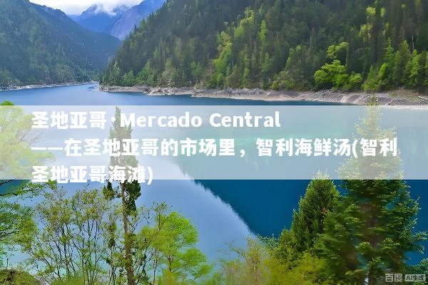 圣地亚哥·Mercado Central——在圣地亚哥的市场里，智利海鲜汤(智利圣地亚哥海滩)