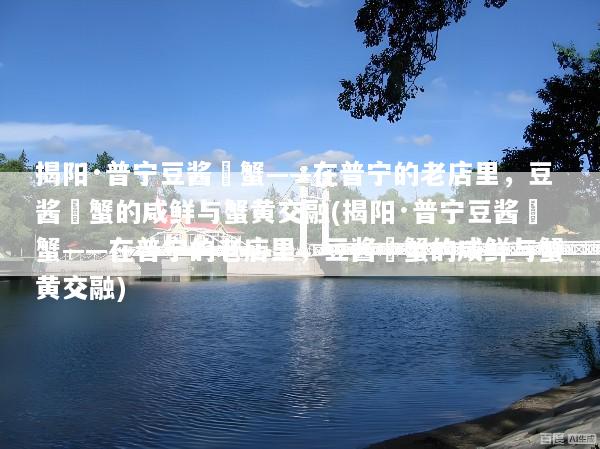 揭阳·普宁豆酱焗蟹——在普宁的老店里，豆酱焗蟹的咸鲜与蟹黄交融(揭阳·普宁豆酱焗蟹——在普宁的老店里，豆酱焗蟹的咸鲜与蟹黄交融)