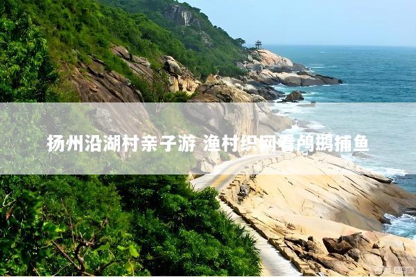 扬州沿湖村亲子游 渔村织网看鸬鹚捕鱼