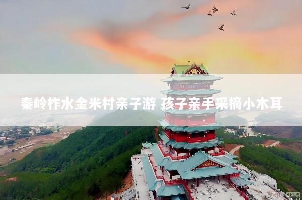 秦岭柞水金米村亲子游 孩子亲手采摘小木耳