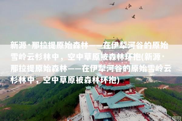 新源·那拉提原始森林——在伊犁河谷的原始雪岭云杉林中，空中草原被森林环抱(新源·那拉提原始森林——在伊犁河谷的原始雪岭云杉林中，空中草原被森林环抱)