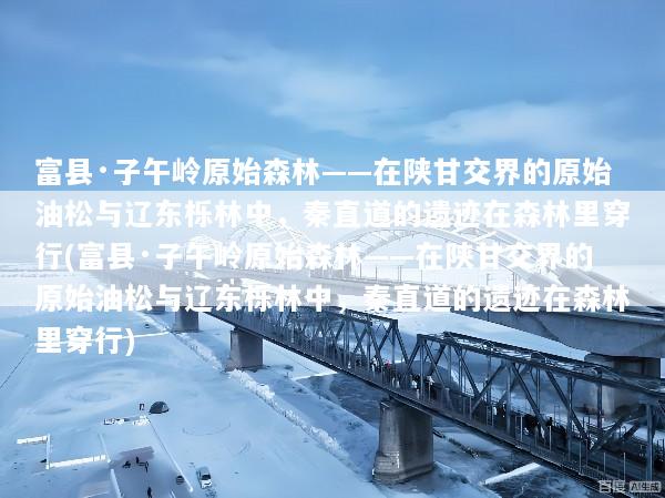 富县·子午岭原始森林——在陕甘交界的原始油松与辽东栎林中，秦直道的遗迹在森林里穿行(富县·子午岭原始森林——在陕甘交界的原始油松与辽东栎林中，秦直道的遗迹在森林里穿行)