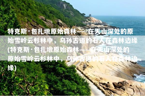 特克斯·包扎墩原始森林——在天山深处的原始雪岭云杉林中，乌孙古道的石人在森林边缘(特克斯·包扎墩原始森林——在天山深处的原始雪岭云杉林中，乌孙古道的石人在森林边缘)