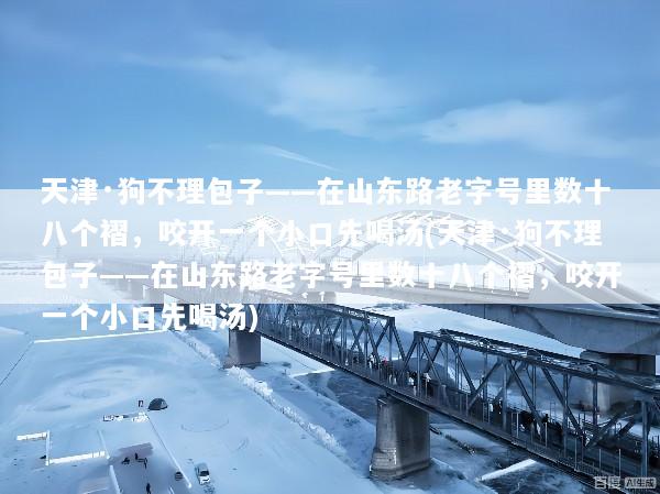 天津·狗不理包子——在山东路老字号里数十八个褶，咬开一个小口先喝汤(天津·狗不理包子——在山东路老字号里数十八个褶，咬开一个小口先喝汤)