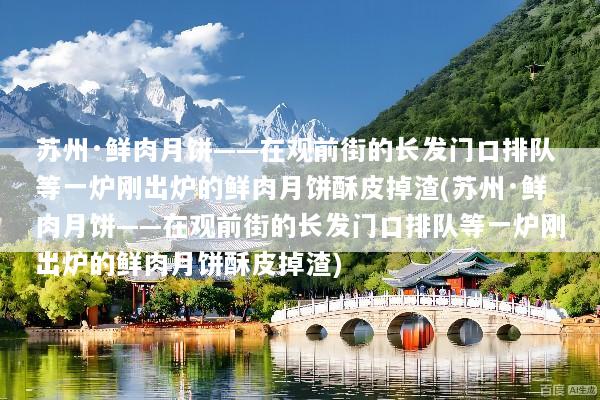 苏州·鲜肉月饼——在观前街的长发门口排队等一炉刚出炉的鲜肉月饼酥皮掉渣(苏州·鲜肉月饼——在观前街的长发门口排队等一炉刚出炉的鲜肉月饼酥皮掉渣)