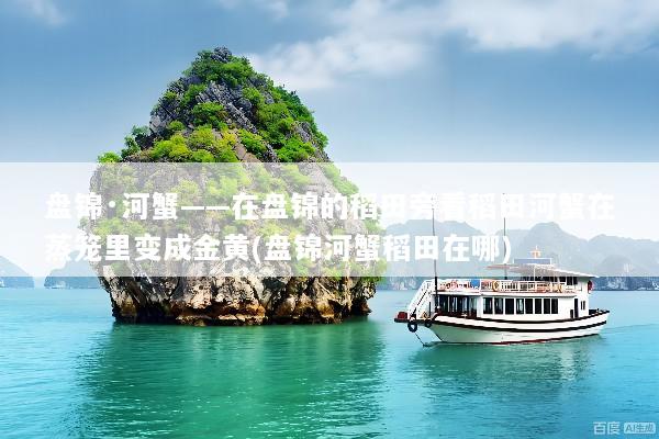 盘锦·河蟹——在盘锦的稻田旁看稻田河蟹在蒸笼里变成金黄(盘锦河蟹稻田在哪)