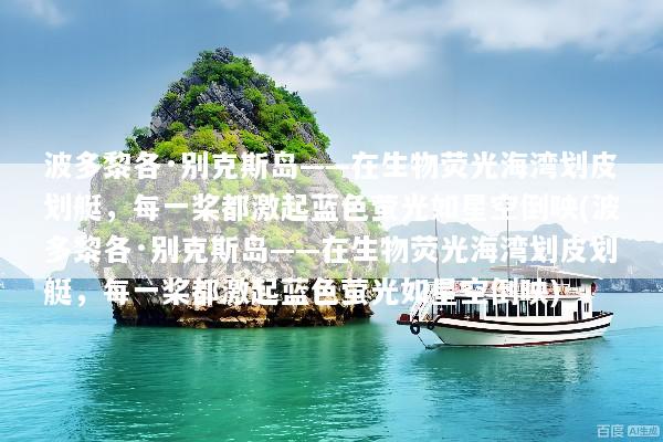 波多黎各·别克斯岛——在生物荧光海湾划皮划艇，每一桨都激起蓝色萤光如星空倒映(波多黎各·别克斯岛——在生物荧光海湾划皮划艇，每一桨都激起蓝色萤光如星空倒映)
