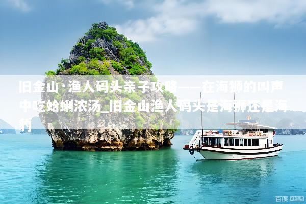 旧金山·渔人码头亲子攻略——在海狮的叫声中吃蛤蜊浓汤_旧金山渔人码头是海狮还是海豹